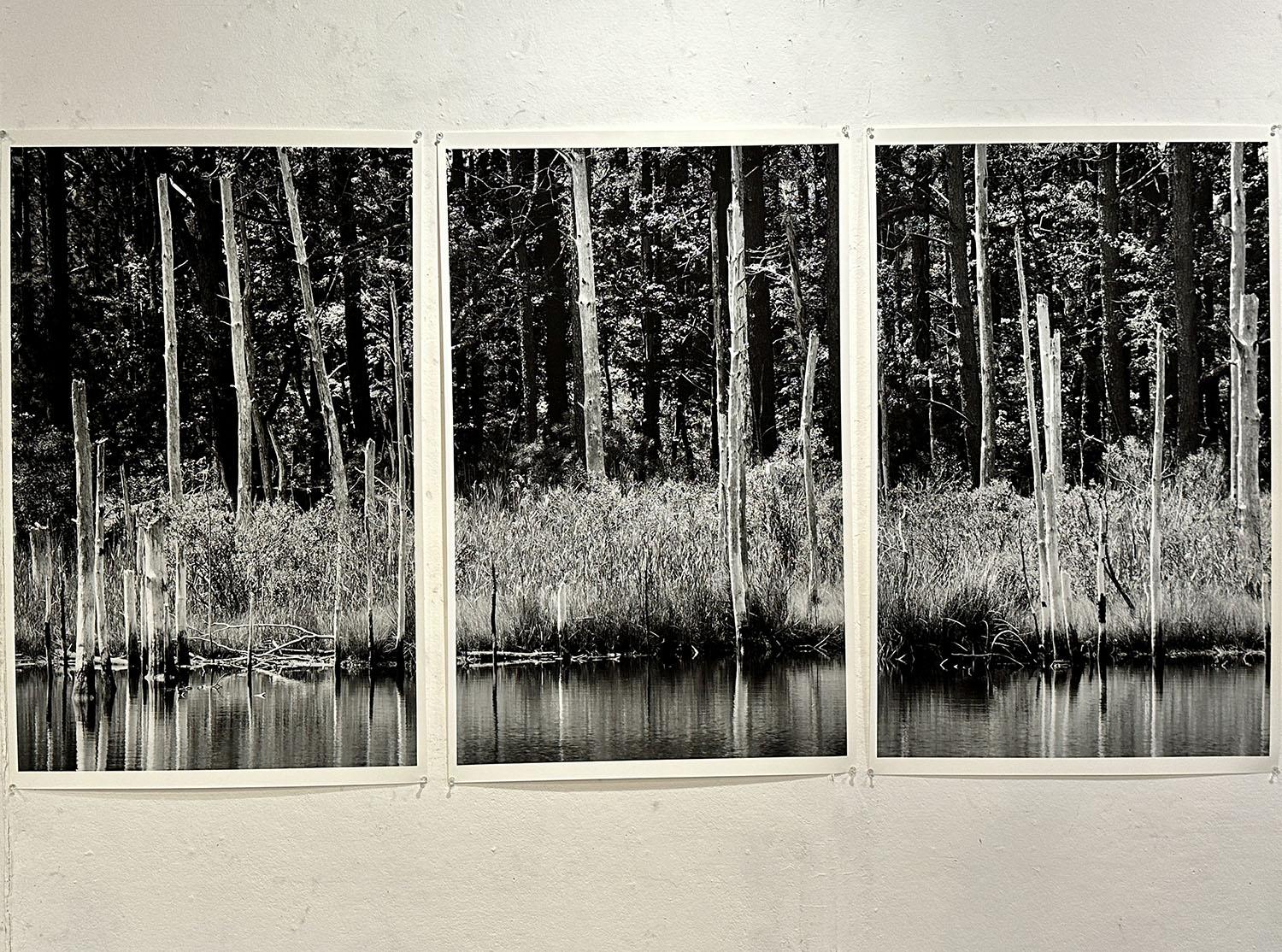Triptych of large format black and white photographs, archival giclee prints. 