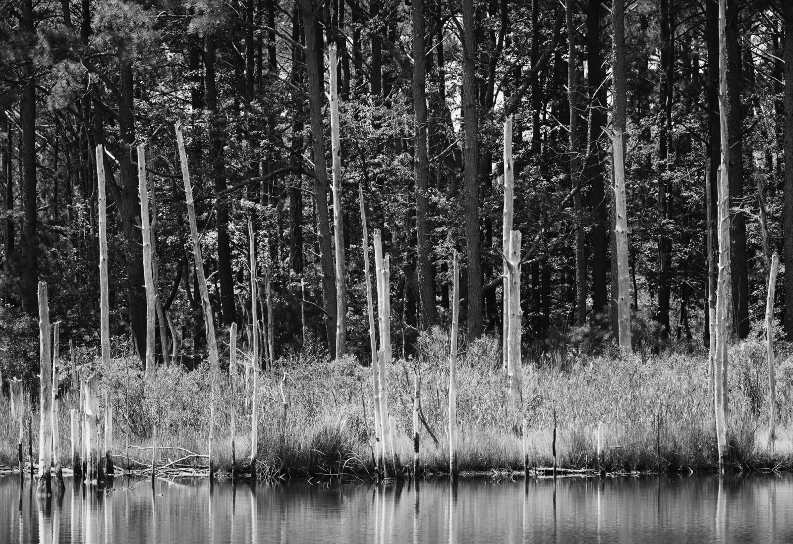 Black and White Photography, giclee print. 24" x 36"