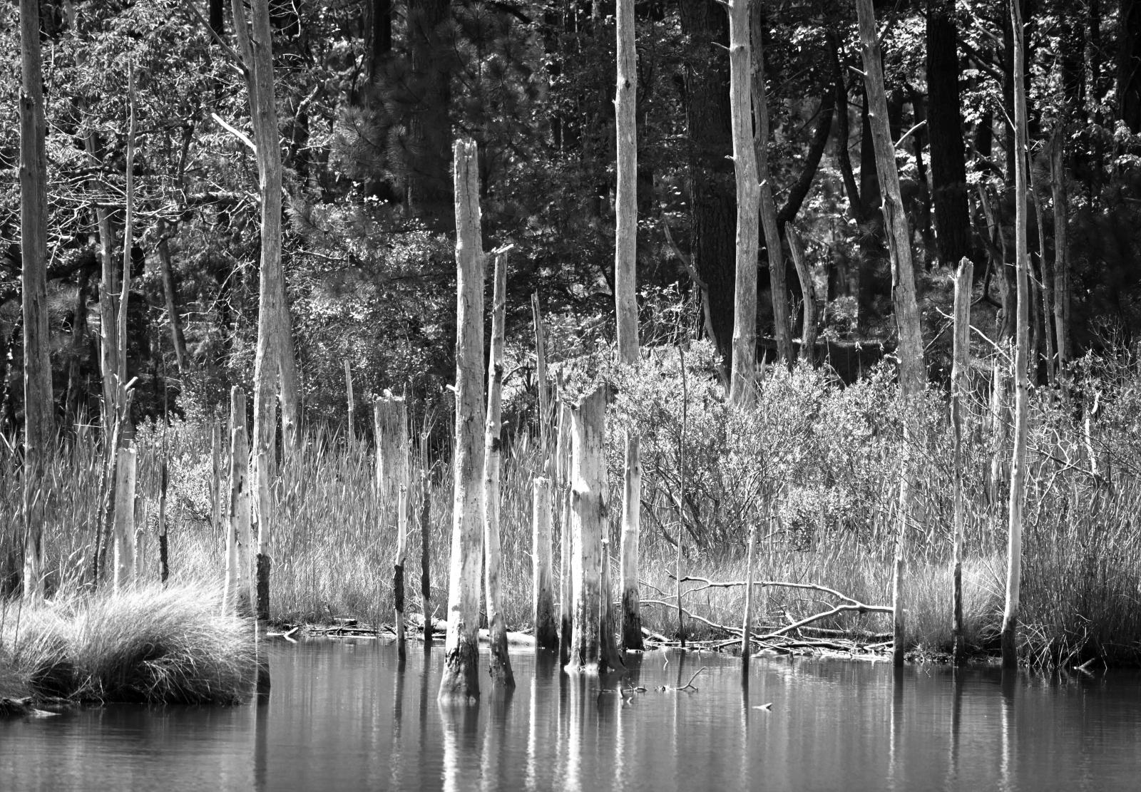 Series of large format black and white photographs, archival giclee prints.