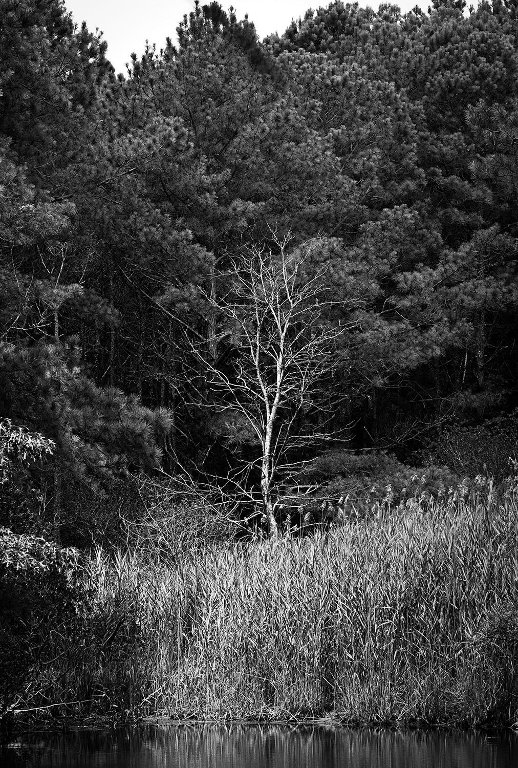 Series of large format black and white photographs, archival giclee prints.