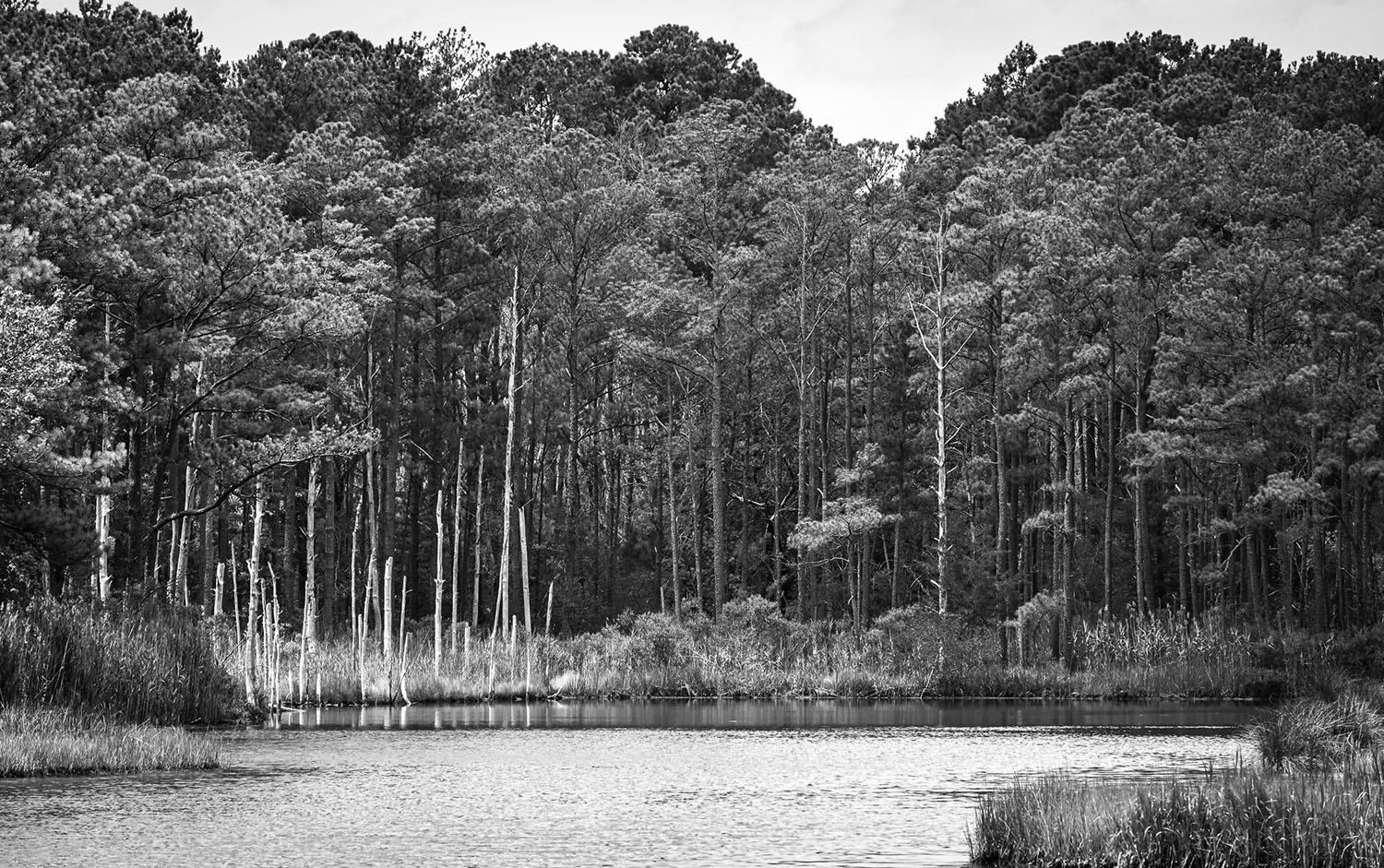 Series of large format black and white photographs, archival giclee prints.